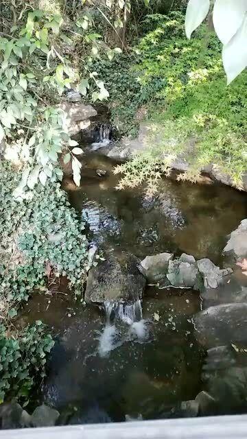 探索成都有哪些值得推荐的景点或旅游线路?——知识星球平台
